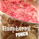 Raspberry Punch