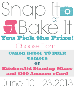 Best Giveaway Ever: KitchenAid Mixer or DSL Camera