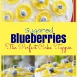 Sugared Blueberries make the perfect cake toppers! They're not difficult, they're edible and taste delicious. You will love these candied blueberries. www.Embellishmints.com
