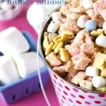 Bunny Tail Easter Muddy Buddies. Perfect for Easter and Spring. Recipe at Embellishmints.com
