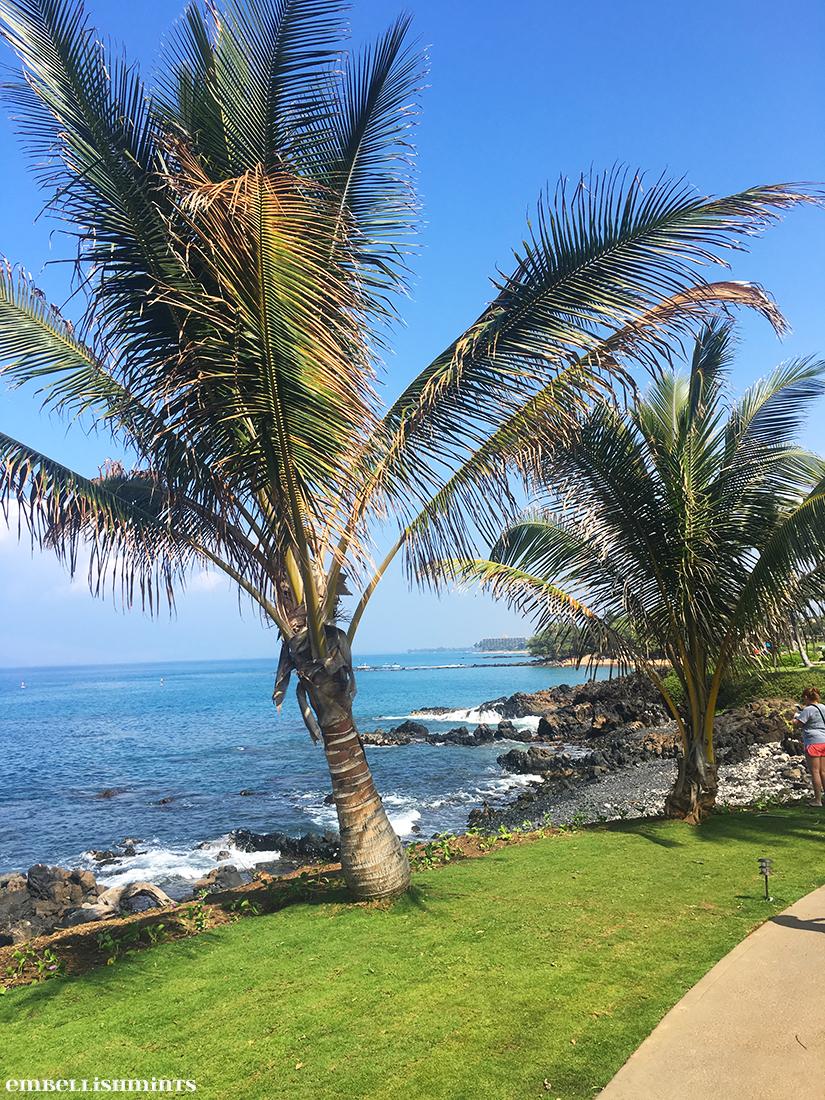 The ins and outs of planning your Wailea Maui Vacation! Everything from hotels and activity recommendations, to restaurants and suggested meals.