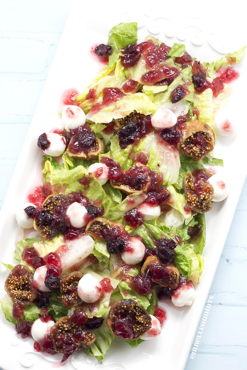 Fig Cranberry Mozzarella Caprese Salad will make a huge statement at your next party. Less than 5 ingredients, made in less than 30 minutes! You'll love it! www.Embellishmints.com