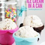 How to Make Homemade Ice Cream in a Can. Find the link to this recipe in www.Embellishmints.com