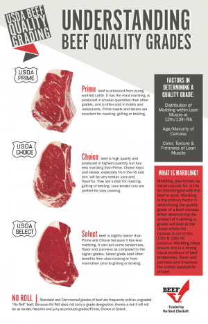 Learn what makes one piece of meat better than the other. What is USDA? What is Certified Angus Beef? USDA Beef Quality Grading and more on Embellishmints.com